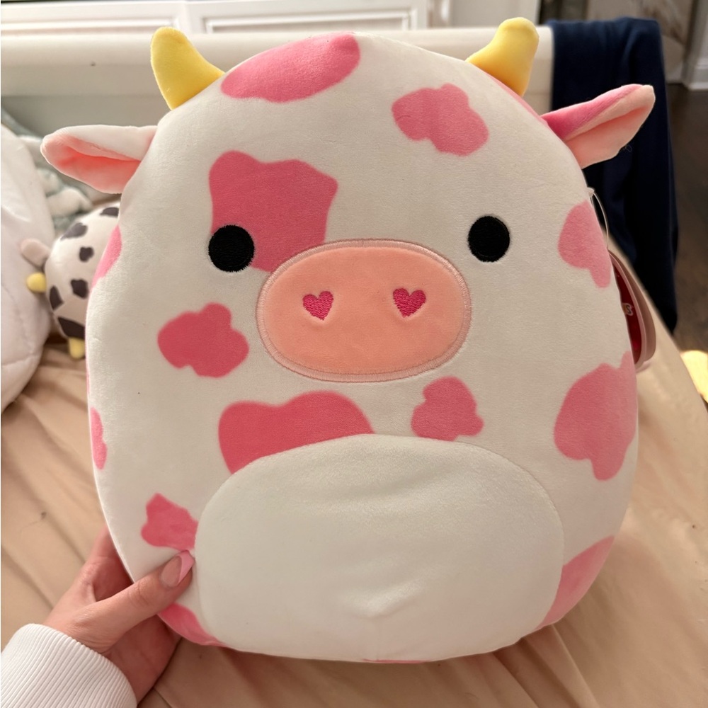 Evangelica Squishmallow